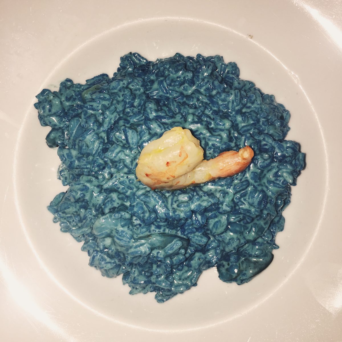 Blue risotto pier 88 el gouna
